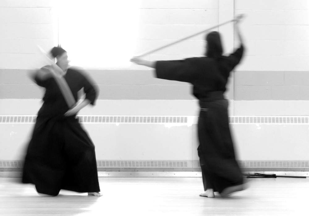 See you at the March
                  Jodo Seminar